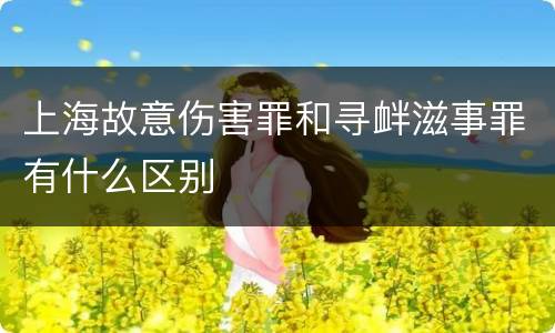 上海故意伤害罪和寻衅滋事罪有什么区别