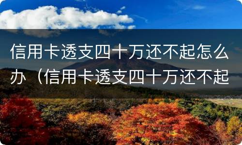 信用卡透支四十万还不起怎么办（信用卡透支四十万还不起怎么办呀）