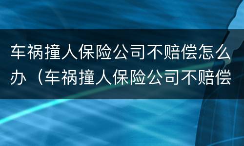 车祸撞人保险公司不赔偿怎么办（车祸撞人保险公司不赔偿怎么办理）