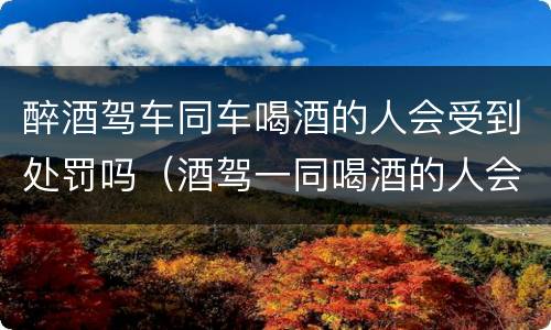 醉酒驾车同车喝酒的人会受到处罚吗（酒驾一同喝酒的人会受到处罚吗）