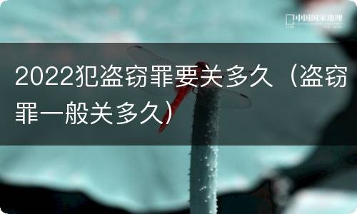 2022犯盗窃罪要关多久（盗窃罪一般关多久）
