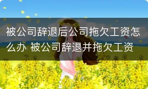 被公司辞退后公司拖欠工资怎么办 被公司辞退并拖欠工资