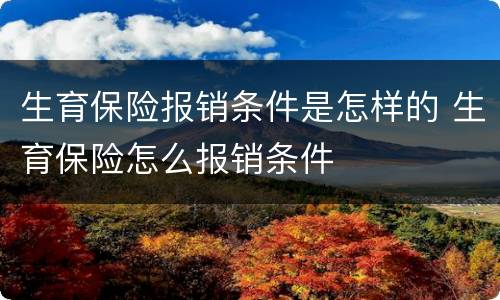 生育保险报销条件是怎样的 生育保险怎么报销条件