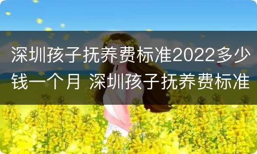 深圳孩子抚养费标准2022多少钱一个月 深圳孩子抚养费标准是多少