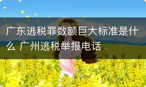 广东逃税罪数额巨大标准是什么 广州逃税举报电话