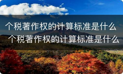 个税著作权的计算标准是什么 个税著作权的计算标准是什么意思