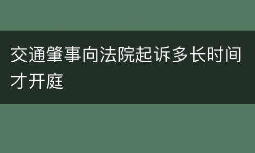 交通肇事向法院起诉多长时间才开庭
