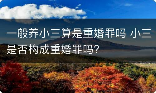 一般养小三算是重婚罪吗 小三是否构成重婚罪吗?