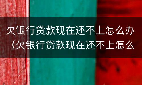 欠银行贷款现在还不上怎么办（欠银行贷款现在还不上怎么办呢）