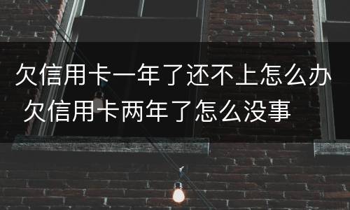 欠信用卡一年了还不上怎么办 欠信用卡两年了怎么没事