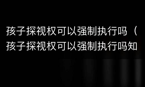 孩子探视权可以强制执行吗（孩子探视权可以强制执行吗知乎）