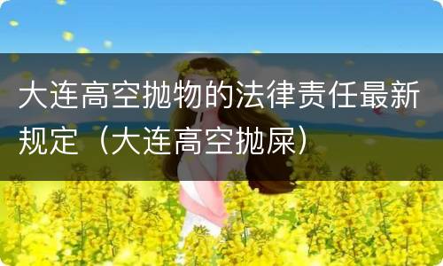 大连高空抛物的法律责任最新规定（大连高空抛屎）