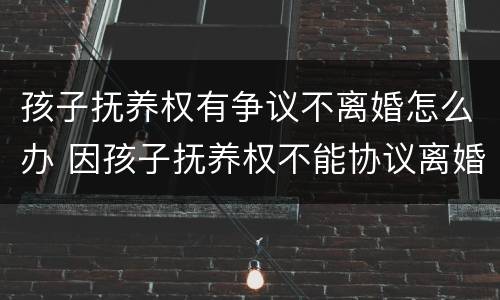 孩子抚养权有争议不离婚怎么办 因孩子抚养权不能协议离婚该怎么办