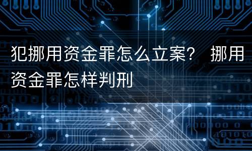 犯挪用资金罪怎么立案？ 挪用资金罪怎样判刑