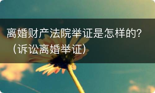离婚财产法院举证是怎样的？（诉讼离婚举证）