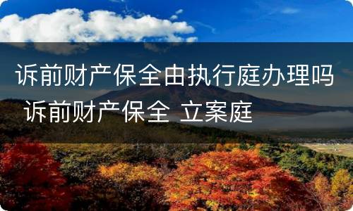 诉前财产保全由执行庭办理吗 诉前财产保全 立案庭