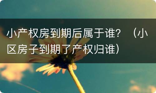 小产权房到期后属于谁？（小区房子到期了产权归谁）