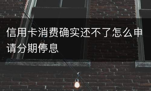 信用卡消费确实还不了怎么申请分期停息