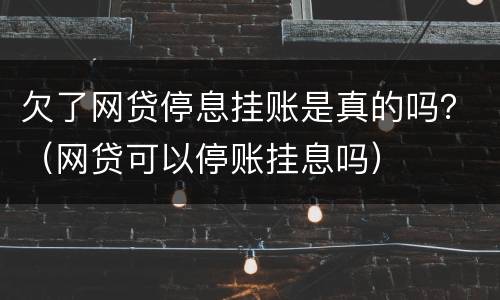 欠了网贷停息挂账是真的吗？（网贷可以停账挂息吗）