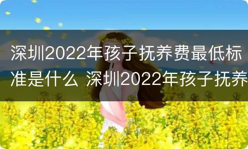 深圳2022年孩子抚养费最低标准是什么 深圳2022年孩子抚养费最低标准是什么呢