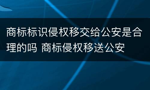 商标标识侵权移交给公安是合理的吗 商标侵权移送公安