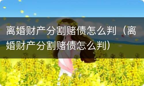 离婚财产分割赌债怎么判（离婚财产分割赌债怎么判）