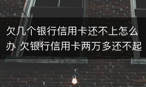 欠几个银行信用卡还不上怎么办 欠银行信用卡两万多还不起怎么办