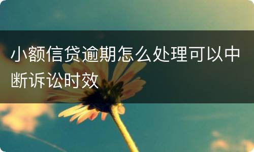 小额信贷逾期怎么处理可以中断诉讼时效