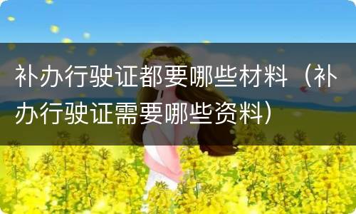 补办行驶证都要哪些材料（补办行驶证需要哪些资料）