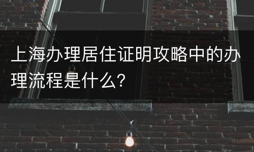 上海办理居住证明攻略中的办理流程是什么？