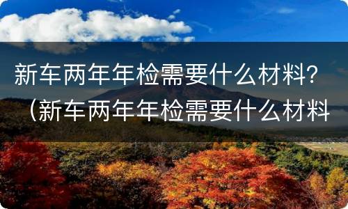 新车两年年检需要什么材料？（新车两年年检需要什么材料和证件）