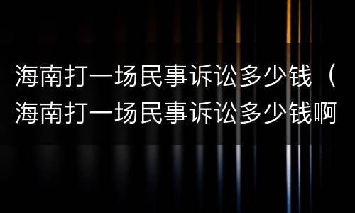 海南打一场民事诉讼多少钱（海南打一场民事诉讼多少钱啊）
