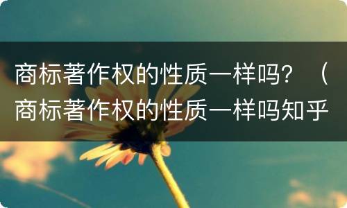 商标著作权的性质一样吗？（商标著作权的性质一样吗知乎）