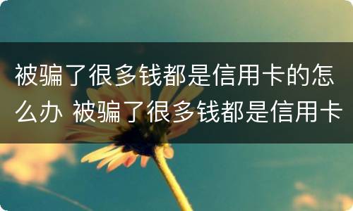 被骗了很多钱都是信用卡的怎么办 被骗了很多钱都是信用卡的怎么办理