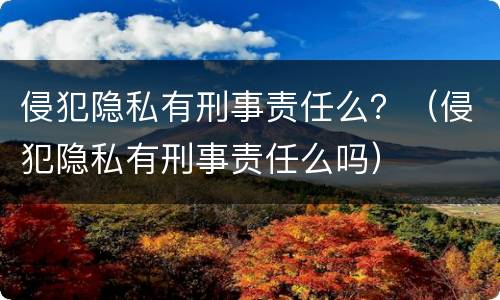 侵犯隐私有刑事责任么？（侵犯隐私有刑事责任么吗）