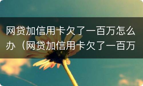 网贷加信用卡欠了一百万怎么办（网贷加信用卡欠了一百万怎么办啊）