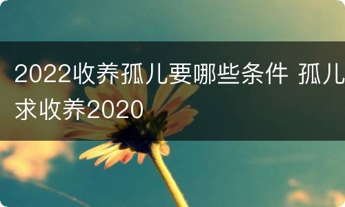 2022收养孤儿要哪些条件 孤儿求收养2020