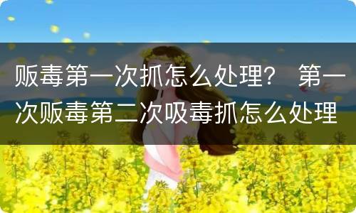 贩毒第一次抓怎么处理？ 第一次贩毒第二次吸毒抓怎么处理