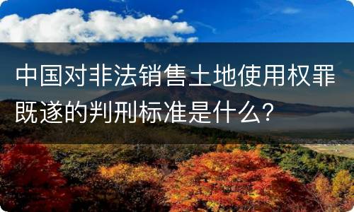 中国对非法销售土地使用权罪既遂的判刑标准是什么？