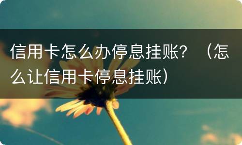 信用卡怎么办停息挂账？（怎么让信用卡停息挂账）