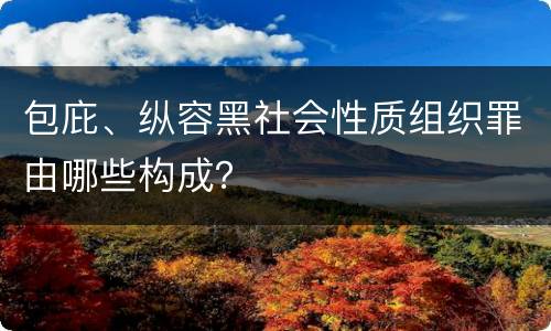 包庇、纵容黑社会性质组织罪由哪些构成？