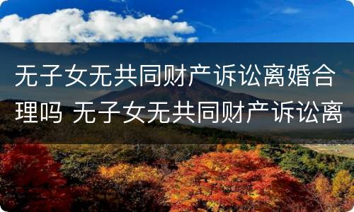 无子女无共同财产诉讼离婚合理吗 无子女无共同财产诉讼离婚合理吗怎么判