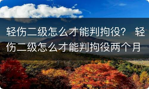 轻伤二级怎么才能判拘役？ 轻伤二级怎么才能判拘役两个月