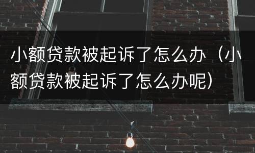 小额贷款被起诉了怎么办（小额贷款被起诉了怎么办呢）