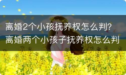 离婚2个小孩抚养权怎么判？ 离婚两个小孩子抚养权怎么判定