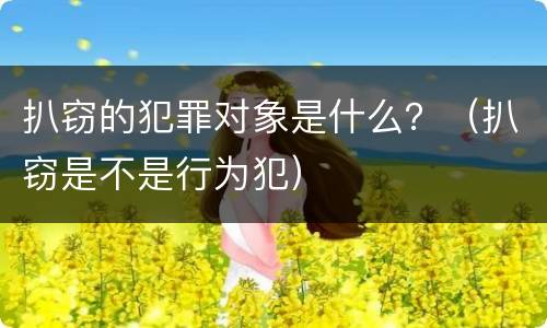 扒窃的犯罪对象是什么？（扒窃是不是行为犯）