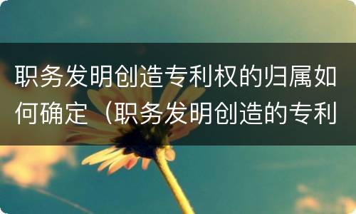 职务发明创造专利权的归属如何确定（职务发明创造的专利权属于谁）