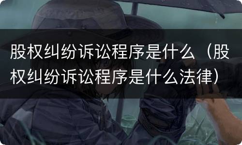 股权纠纷诉讼程序是什么（股权纠纷诉讼程序是什么法律）