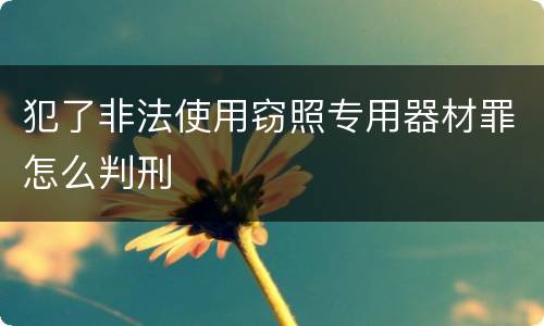 犯了非法使用窃照专用器材罪怎么判刑
