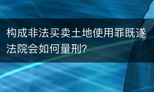 构成非法买卖土地使用罪既遂法院会如何量刑？
